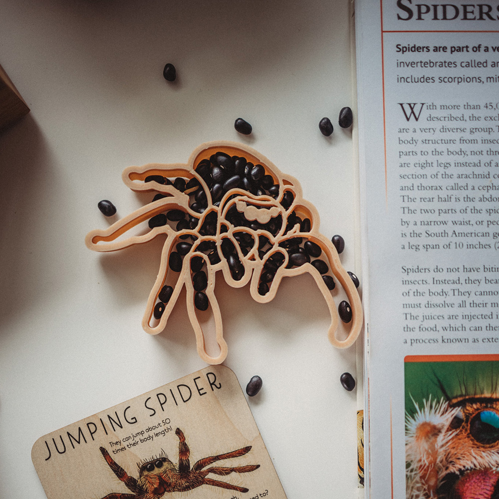 [Preorder-10/12(목) 예약발송][킨포크팬트리] Jumping Spider Eco Cutter